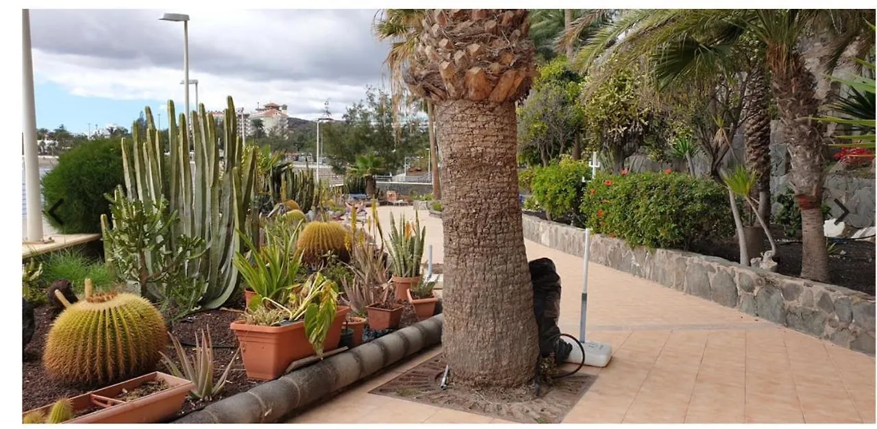 Exclusives Apartment 10 Meters To Ocean Maspalomas  Hiszpania