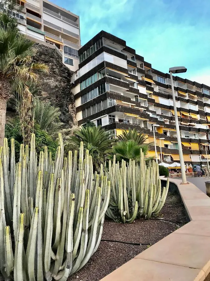 Exclusives Apartment 10 Meters To Ocean Maspalomas  Maspalomas (Gran Canaria)